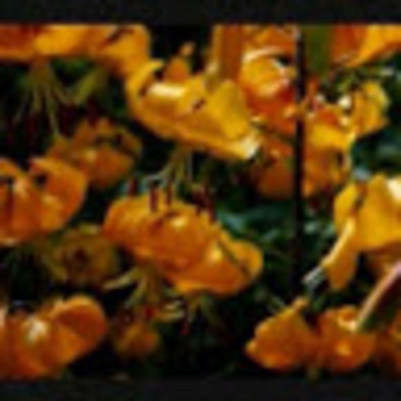 yiming23